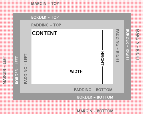 Box model with height and width