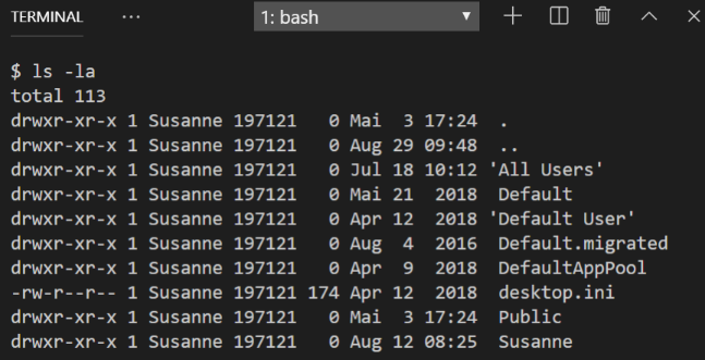 Command line hidden files using flag -la