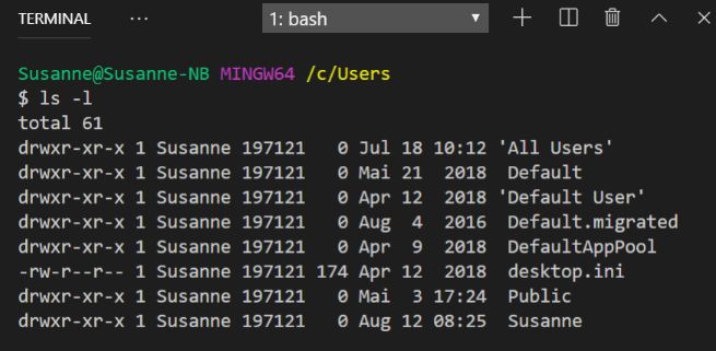 Command line ls with flags