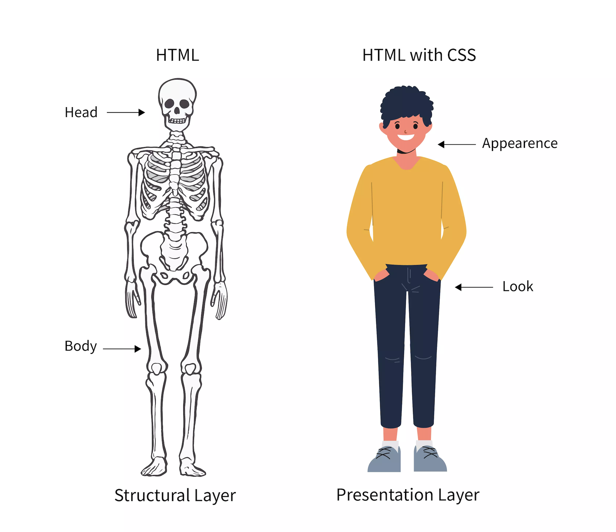 html vs css