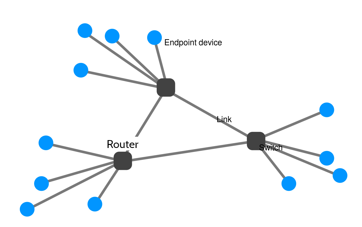 Router, Links, Switches, Endpoint devices